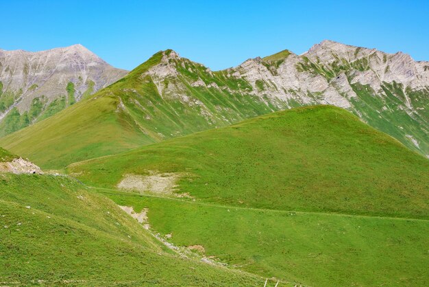 晴れた日にジョージア州の山の風景