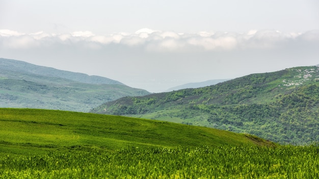 山の風景、緑の春の山、高地