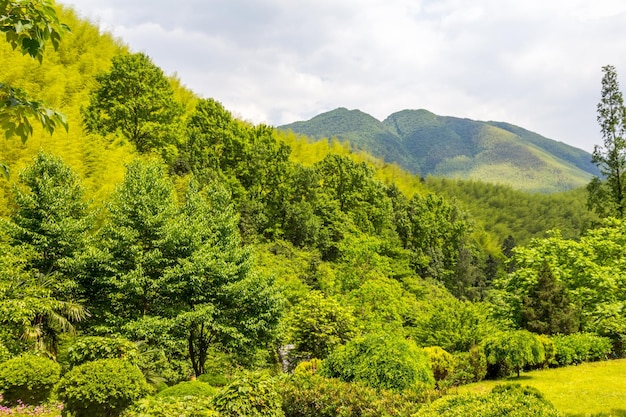 Mountain landscape Huangshan China