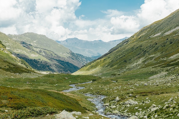 Mountain landscape. Landscape with mountains, forest and river in front. beautiful landscape