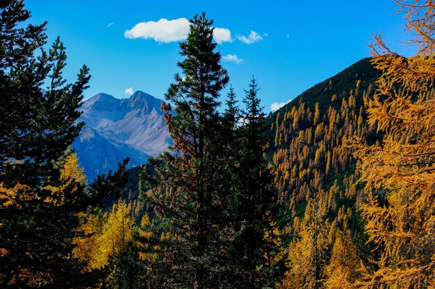 mountain landscape panoramic