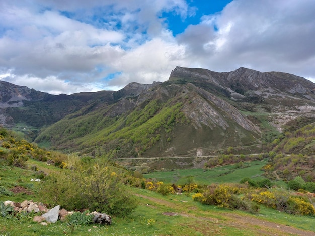 mountain landscape in picos de europa