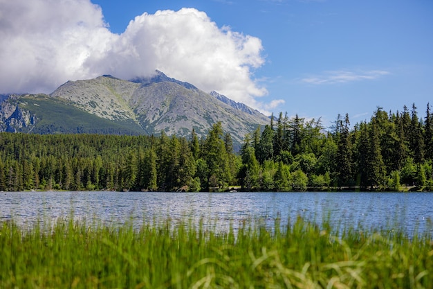 Mountain landscape, picturesque lake in spring summer morning, panorama. Green pine forest sunny sky