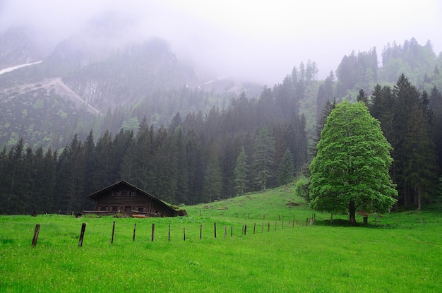 Mountain landscape in the rain