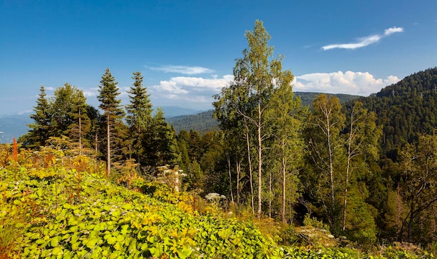 Paesaggio di montagna repubblica di adygea