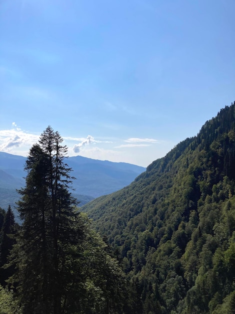 Fotografia mobile di paesaggi di montagna, cielo e foresta