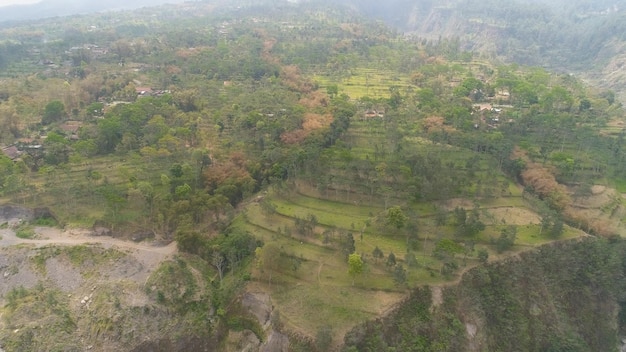 Mountain landscape slopes mountains covered with green tropical forest jawa indonesia aerial view