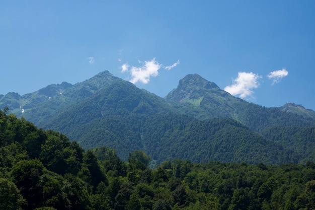 夏の山の風景美しい自然の壁紙