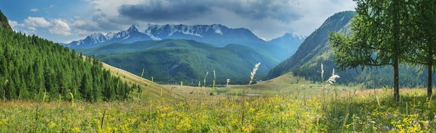 夏の日の山の風景、大きなパノラマ