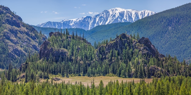 Mountain landscape on a summer day