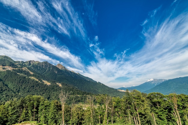 Mountain landscape. Sunny day. Mountain peaks covered with forest.