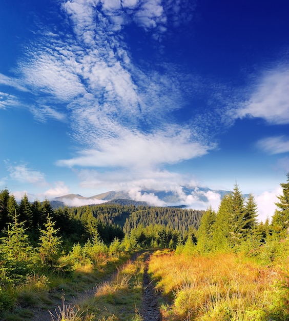 Mountain landscape on a sunny morning. The road runs along the ridge