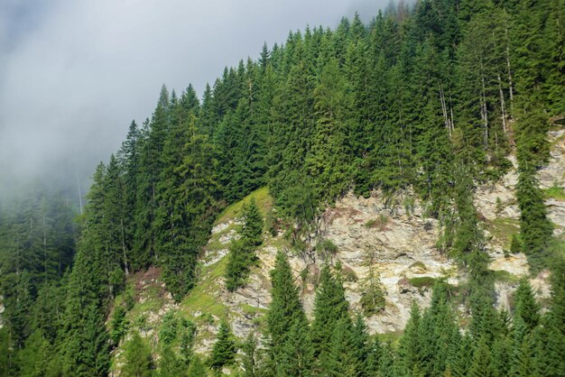 Mountain landscape Switzerlandclear blue sky