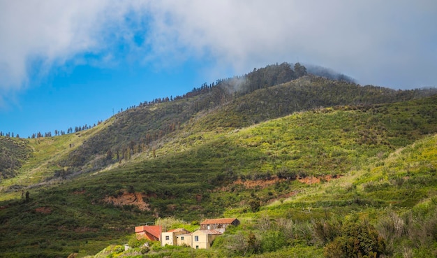 Mountain landscape on tropical island Tenerife