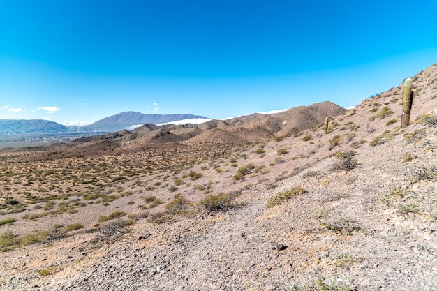 Mountain landscape with cacti in south america