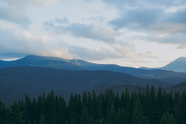 Paesaggio di montagna con la fauna selvatica delle nuvole