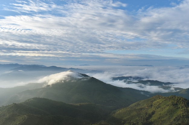 Mountain Landscape with Fog, Cloud and Forest.