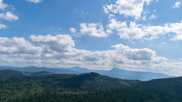 ウクライナのカルパチア山脈の山岳風景と森林