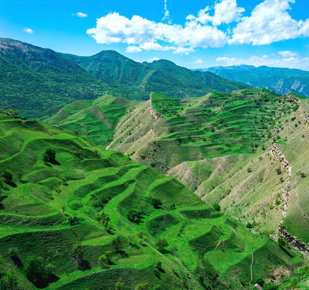 Paesaggio montano con verdi terrazzamenti agricoli sui pendii