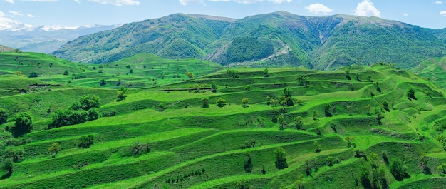 Mountain landscape with green agricultural terraces on the slopes