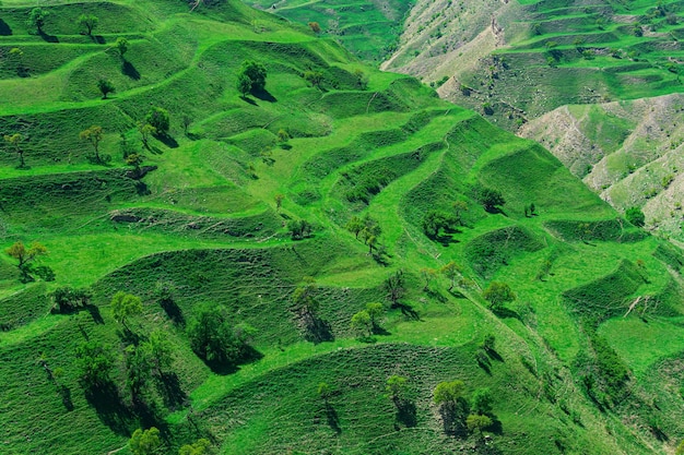 Mountain landscape with green agricultural terraces on the slopes