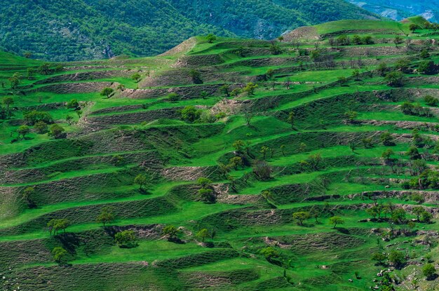 Paesaggio montano con verdi terrazzamenti agricoli sui pendii