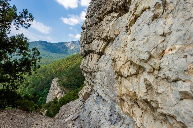 Foto un paesaggio montano con una montagna sullo sfondo