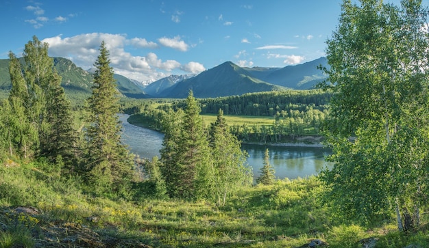 Mountain landscape with a river forested slopes summer