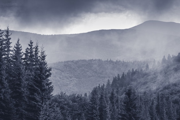 Paesaggio di montagna con una fitta nebbia nelle montagne