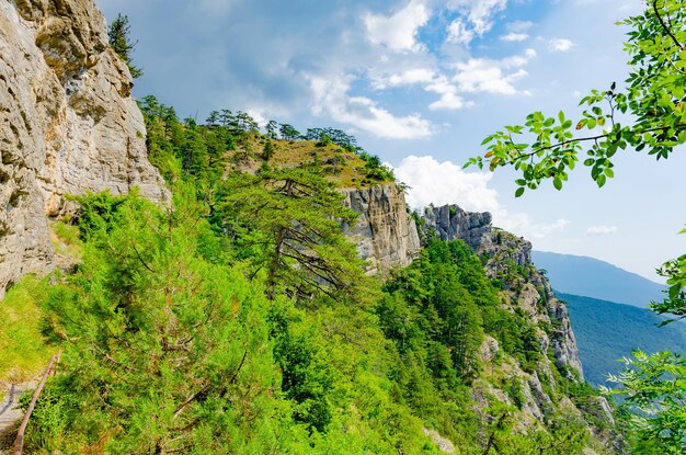 A mountain landscape with trees and a blue sky