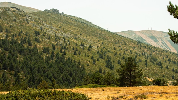 Photo a mountain landscape with trees and a hill with a hill in the background