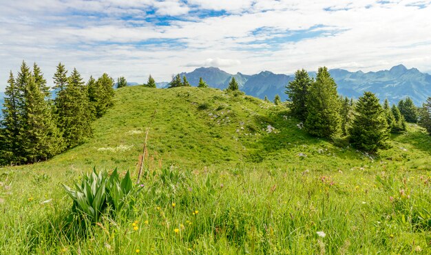 Mountain landscape