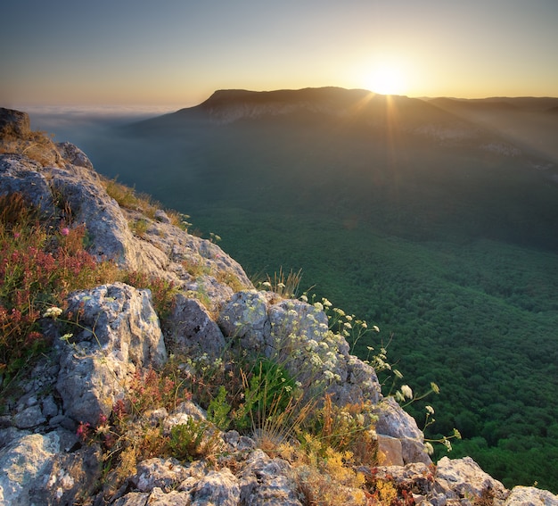 Mountain landscape