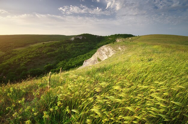 Mountain landscape