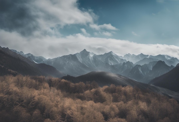 山の風景