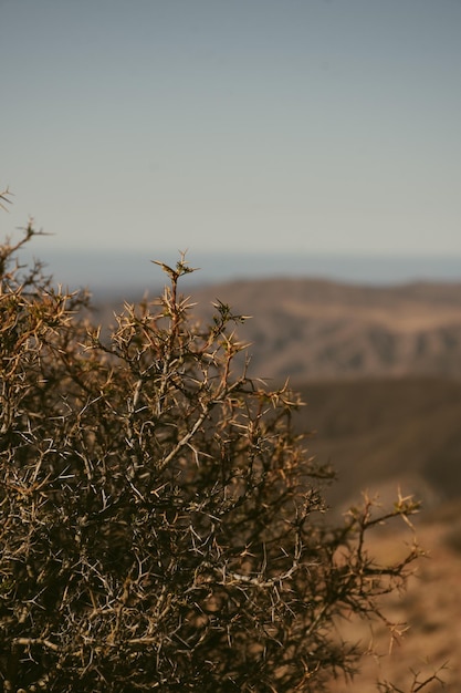 Photo mountain landscape