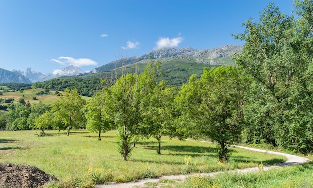 Foto paesaggio di montagna