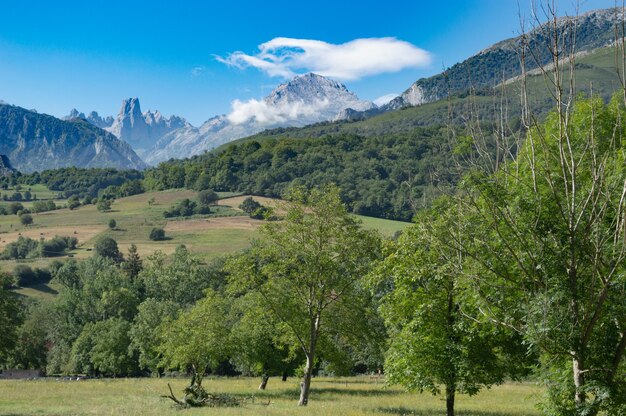 Foto paesaggio di montagna