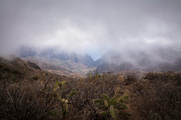 テネリフェ島の山の風景