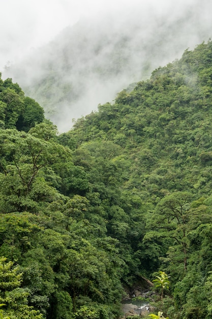 Mountain landscapes in Panama