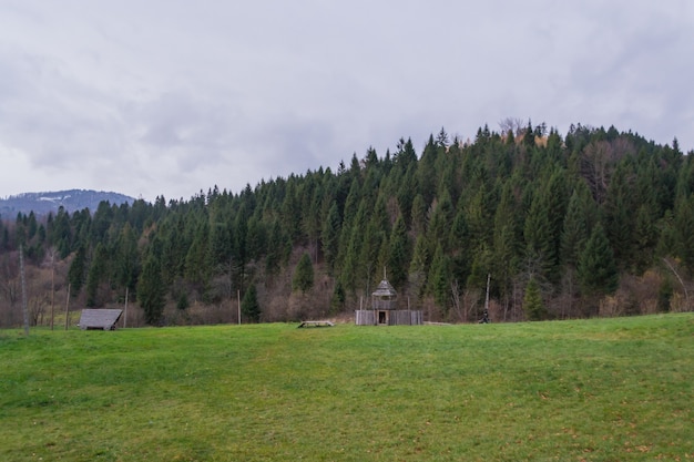 Photo mountain meadow in the foothills of the carpathians