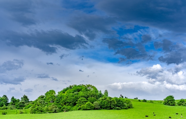 Mountain meadows landscape on a clear day after rain