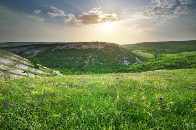 Paesaggio della natura di montagna composizione della natura