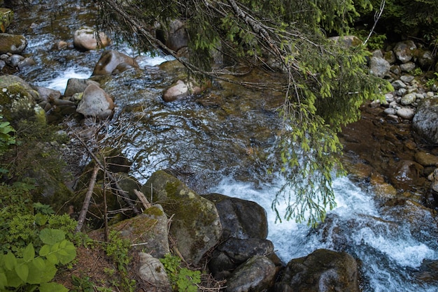 Mountain nature landscape. Nature park