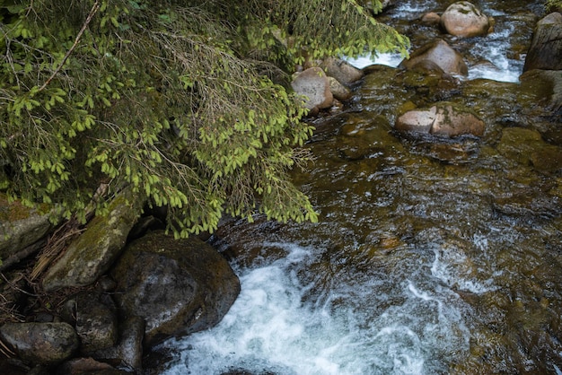 Mountain nature landscape. Nature park