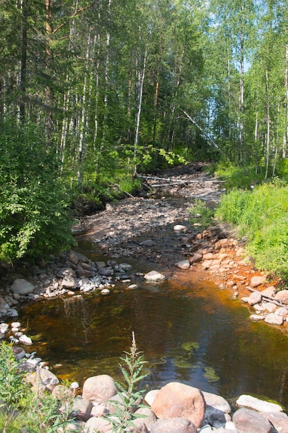 Mountain northern rivers with rocks and a waterfall Republic of Karelia