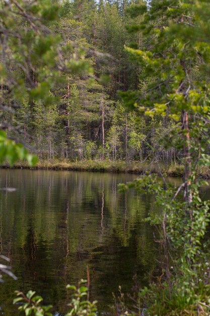 Mountain northern rivers with rocks and a waterfall Republic of Karelia