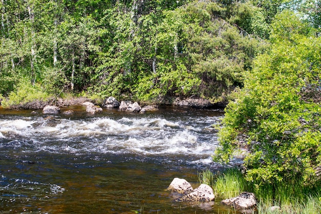 Mountain northern rivers with a threshold and a waterfall Republic of Karelia