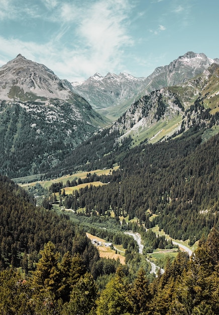 谷と緑の森のパノラマ風景に囲まれたスイスアルプス道路の峠