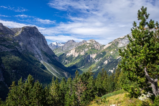 Mountain and pastures landscape in Pralognan la Vanoise. French alps